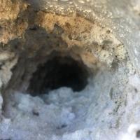 Lint and condensation collecting in a dryer vent
